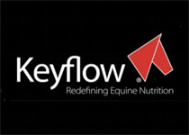 Keyflow